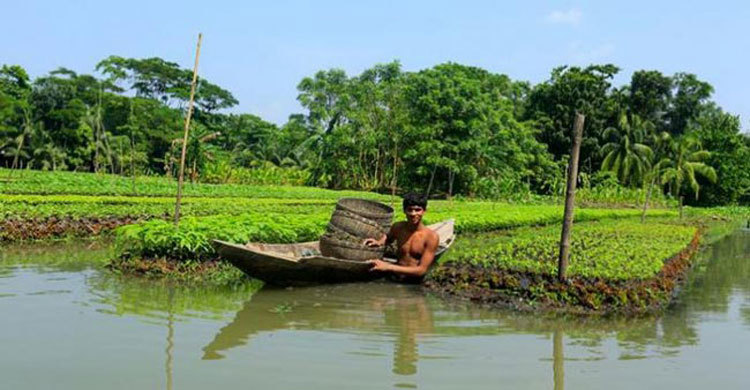 বন্যা পরবর্তী সময়ে ফসল রক্ষায় কৃষক ভাইদের করণীয়