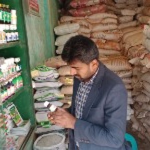 inspection of pesticides